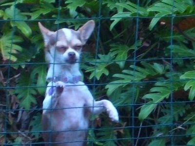 LLaurenbrooke's profile picture. 