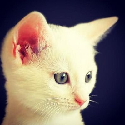 همش خراب ميشه