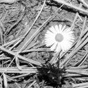 patrick quin kermott - @pqkermott - Twitter