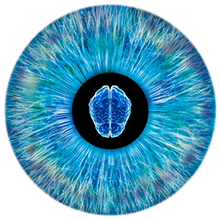 NeurOpticsInc's profile picture. Advancing the Science of Pupillometry...in Critical Care, Trauma and Emergency Care Medicine