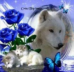 lindahamrick62's profile picture. 