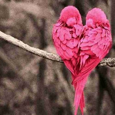 ‏‏،،أحبٌ الرگود حد التبلدّ،،والــثقه لِحد االتغطّرس،،لآأُجبرأحد أن يُحبـــني،،ولآأهتمُ لِ أحد لآيهتمُ بيــ ِ،،هذاـــــ أناـــــ،،♡♡
