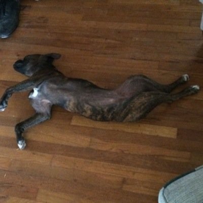 pcktstrzt's profile picture. 