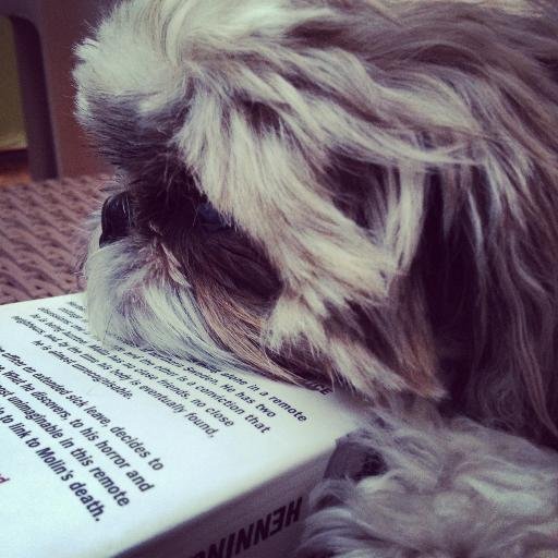 bookglutton1's profile picture. 