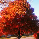 Angie Coe - @angcoe25 - Twitter