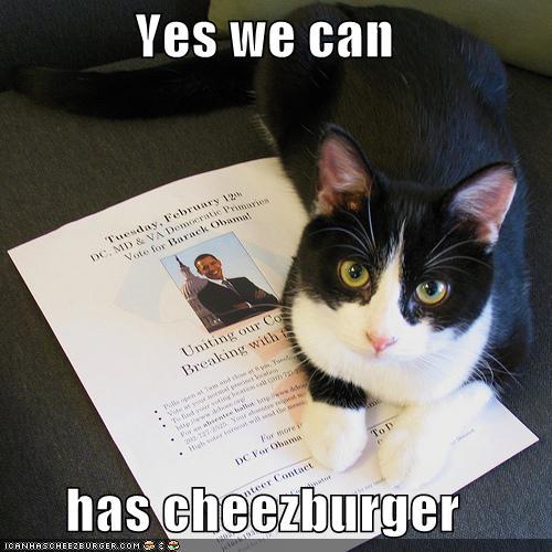yeswecanhas's profile picture. Yes We Can Has Obama Cheezburgers!