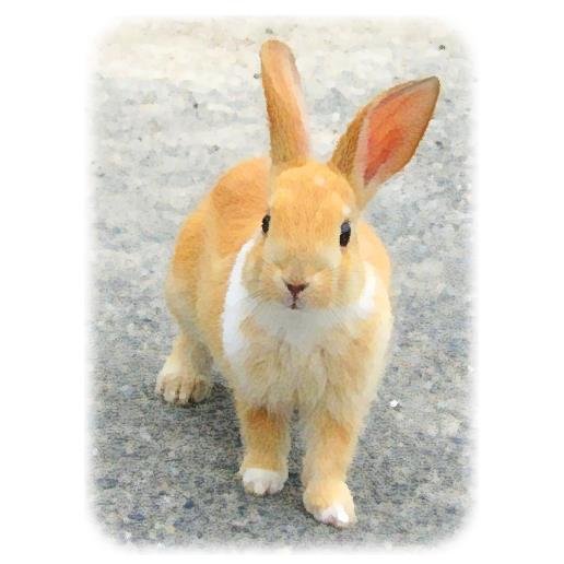 うさみみさんのプロフィール画像
