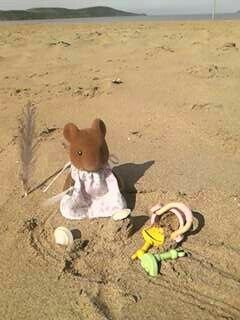 fizz5678's profile picture. 