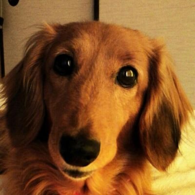 あずき