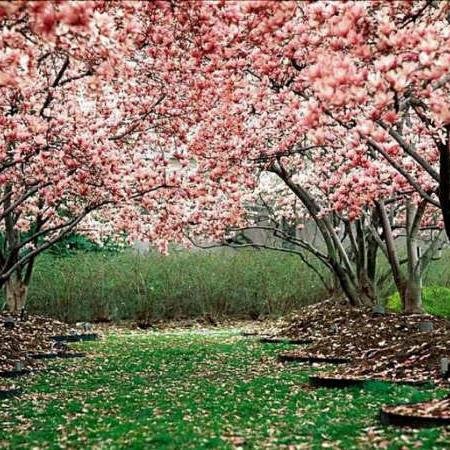 mrs82965's profile picture. 