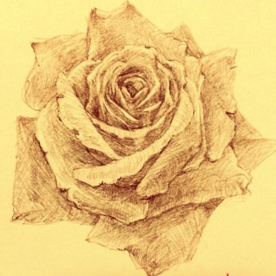 supernova_roses Profile Picture