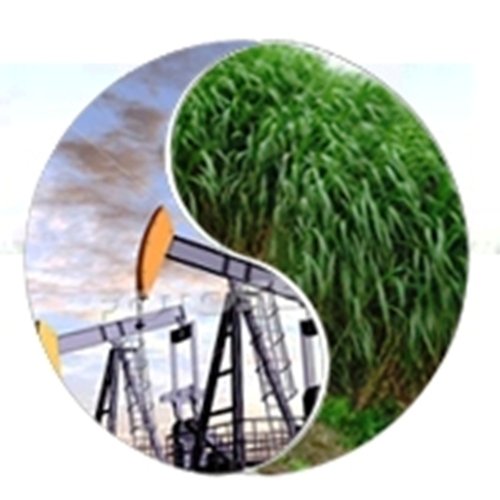 sandpoet's profile picture. Love is all that matters!!