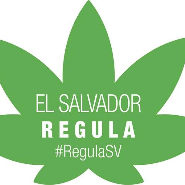 AutocultivoSV's profile picture. Somos Una Organización En Pro De La Reducción De Daños, Del Autocultivo y La Regulación Del Cannabis En El Salvador
CULTIVA TUS DERECHOS!!!  #RegulaSV