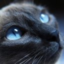 john paul bargo - @bargo_paul - Twitter