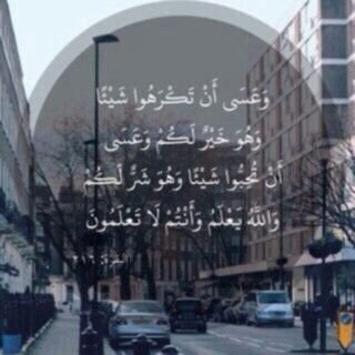 ‏تولد حكايــہ على سور الورق حينما يكون الصمـت هو الكاتب...!       ..ام رضوان ..             ،،‏ممنوع الخاص..