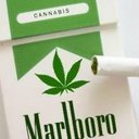 tehseen ali - @teTehseen - Twitter