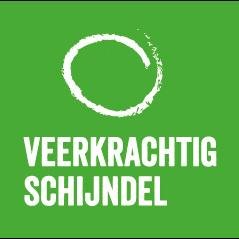Veerkrachtig Schijndel wil de Schijndelse gemeenschap minder afhankelijk maken van Europese of wereldwijde systemen op het gebied van o.a. energie en voedsel.