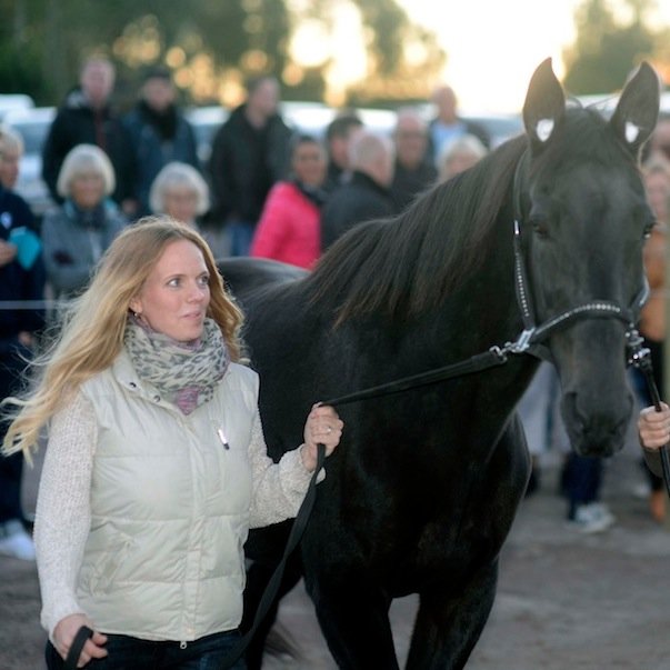 PopNPaula's profile picture. Det blir en del trav helt klart.