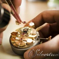 Silvertrust (@silvertrust1) 's Twitter Profile