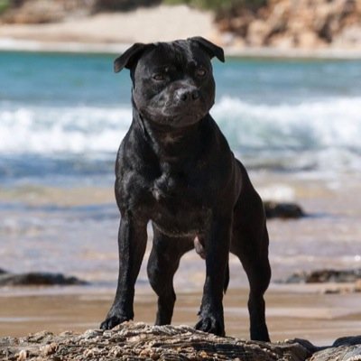 debed78's profile picture. 