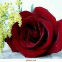Goalab Golabsangi (@02e50577968d4e9) Twitter
