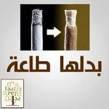 م. محمد