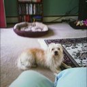 Georgia Flint - @flint_georgia - Twitter