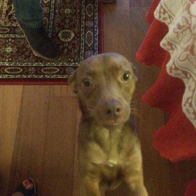 teresaciceri's profile picture. alla fine è sempre la somma che fa il totale.