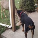 david kendrick - @dlk0474 - Twitter