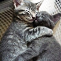 あッちゃん (@ask1123xlalala) Twitter profile photo