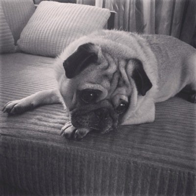 saintanddevil's profile picture. 