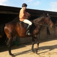 martin mills (@martinemills) 's Twitter Profile Photo