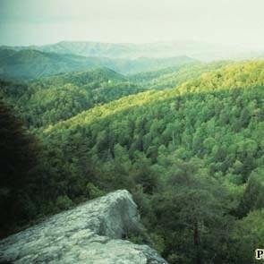 UC Outdoors and the Appalachian Wilderness Club--outdoor adventures for the Union College Community