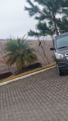 timbeta010111's profile picture. em busca do beta lab