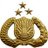 destapriyadi's profile image