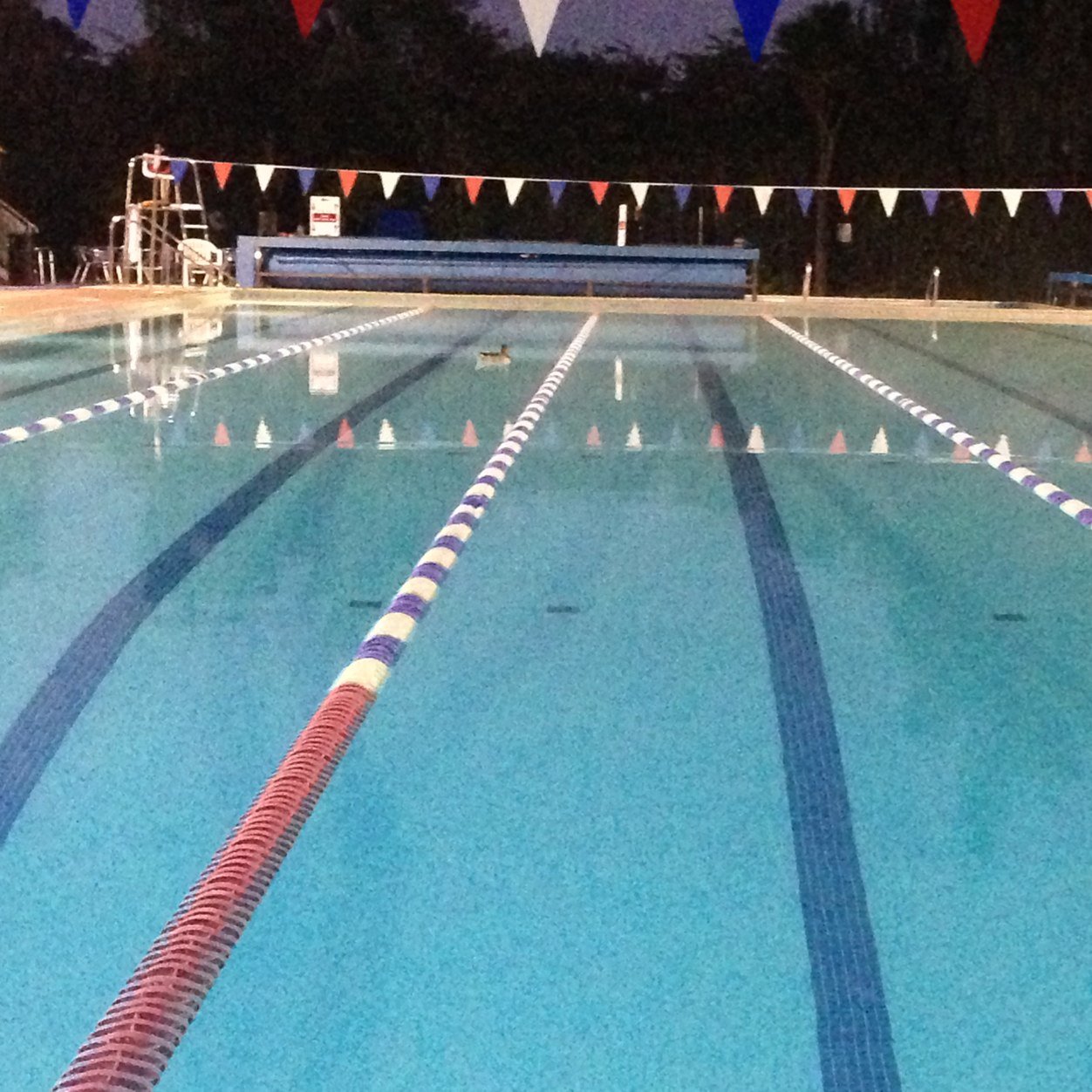 Davidmakriel's profile picture. operation manager Hillingdon sports & Leisure Complex