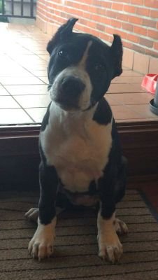 rudy_sood's profile picture. 