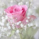 MARINA.LEDESMA - @MARIMA144 - Twitter