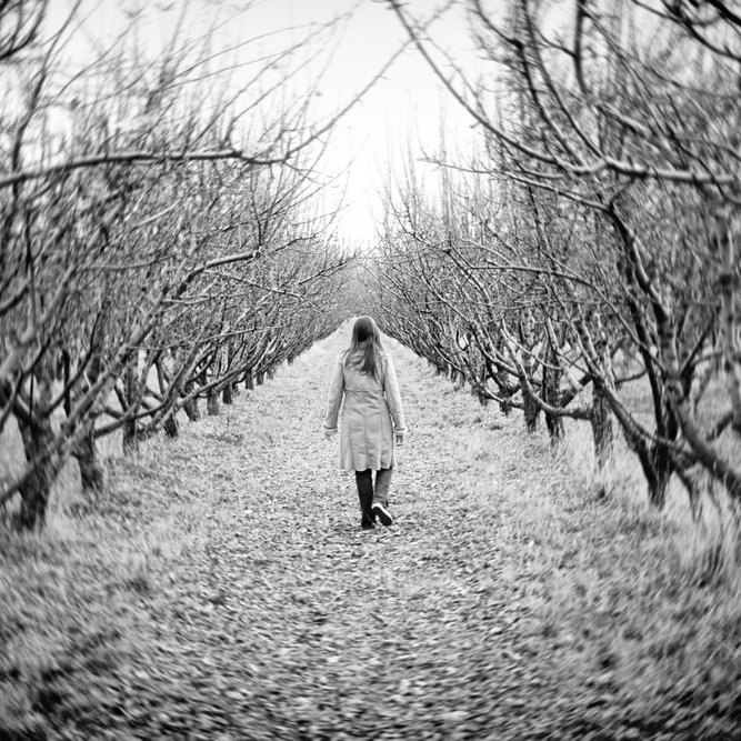 MicroBizMarket's profile picture. A new community for micro businesses