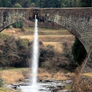 muda__zatsugaku's profile picture. 知ってても無駄？と思われるような、そんな雑学を紹介していきます。