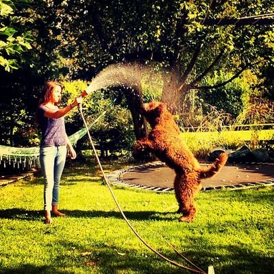 merijndkstra's profile picture. { Do not try to be perfect, just be yourself }