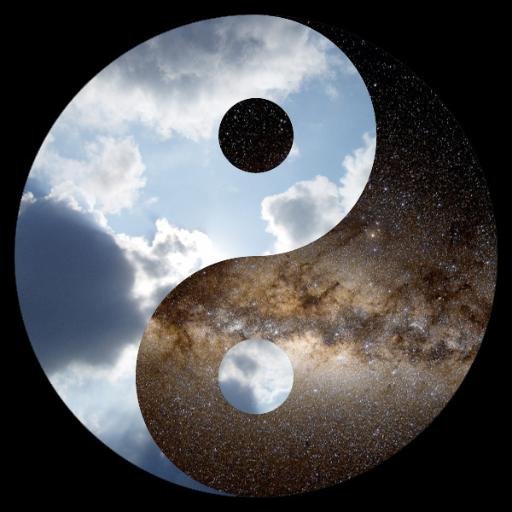 YinYangn's profile picture. 