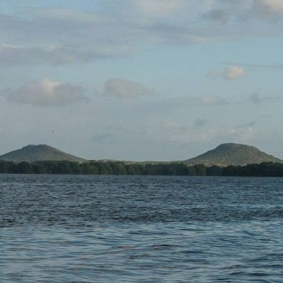 ajrf2009's profile picture. 