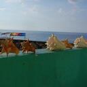 Rita Reilly - @RRR0904 - Twitter