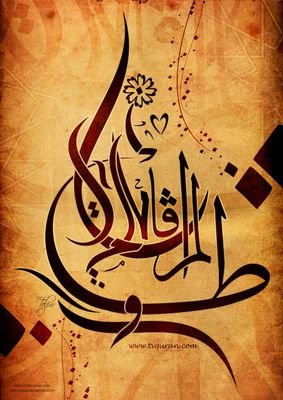 A Muslim trying to follow the path of the salaf
 #sunni #salafi