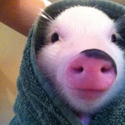 old twitter