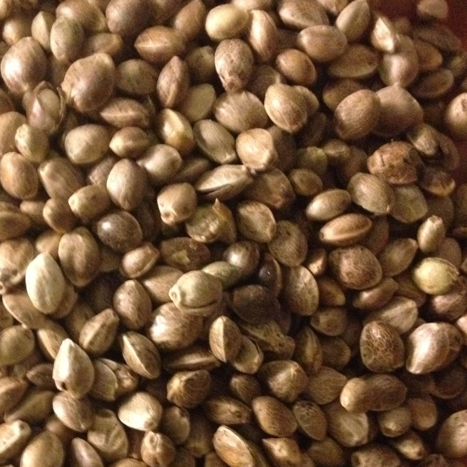 We process seeds, nuts and beans into yummy vegan foods and medicines. Federally licensed processor of hemp seeds 1996. #Hemp #Cacao #Flax #Cannabis #omega3