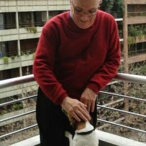 altazorcastillo's profile picture. Nació en Barquisimeto. Allí vive y lee.