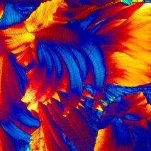 Shicki1230's profile picture. 