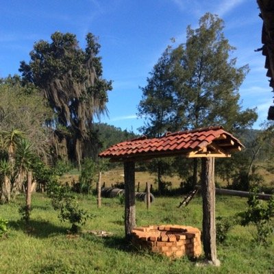 Ingeniero Industrial, maestria en Investigacion y doscencia, Maetria en Reingenieria y Tecnicas de Aseguramiento, Diplomado en Sociologia Ambiental.